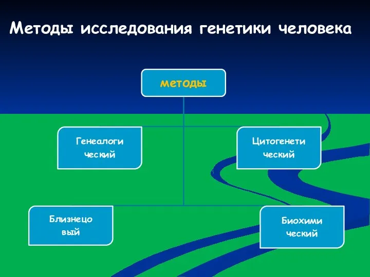 Методы исследования генетики человека