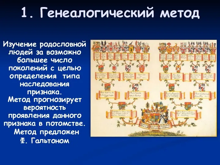 1. Генеалогический метод Изучение родословной людей за возможно большее число поколений