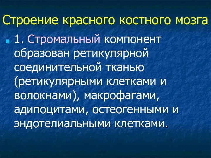 Строение красного костного мозга 1. Стромальный компонент образован ретикулярной соединительной тканью