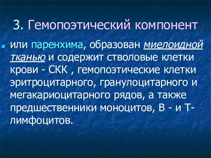 3. Гемопоэтический компонент или паренхима, образован миелоидной тканью и содержит стволовые