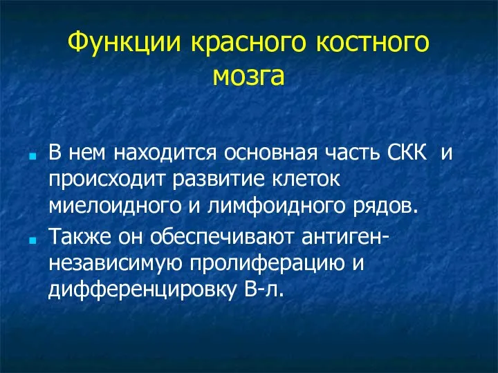 Функции красного костного мозга В нем находится основная часть СКК и