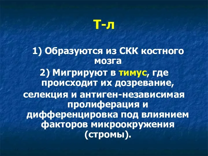 Т-л 1) Образуются из СКК костного мозга 2) Мигрируют в тимус,