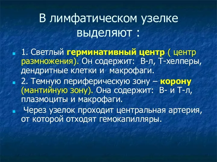 В лимфатическом узелке выделяют : 1. Светлый герминативный центр ( центр