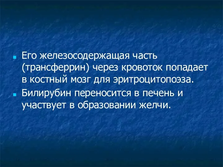 Его железосодержащая часть (трансферрин) через кровоток попадает в костный мозг для