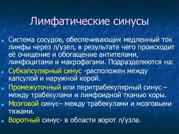 Лимфатические синусы Система сосудов, обеспечивающих медленный ток лимфы через л/узел, в