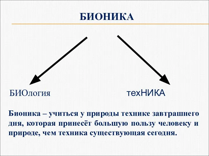 БИОНИКА БИОлогия техНИКА Бионика – учиться у природы технике завтрашнего дня,