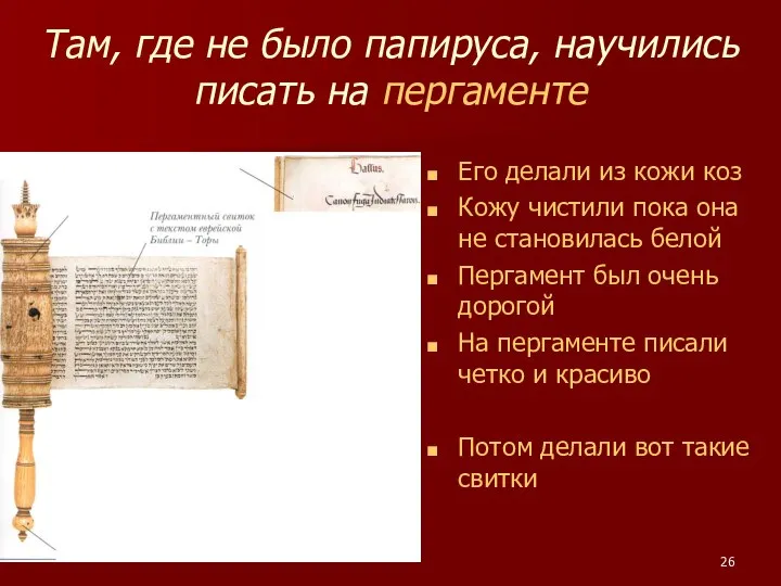 Там, где не было папируса, научились писать на пергаменте Его делали