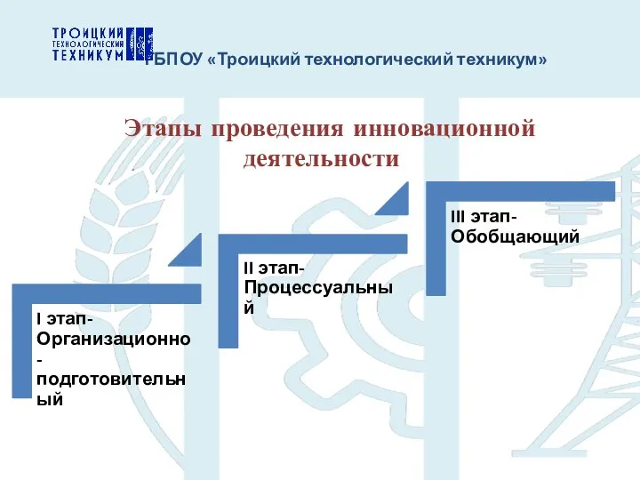 ГБПОУ «Троицкий технологический техникум» Этапы проведения инновационной деятельности: деятельности: