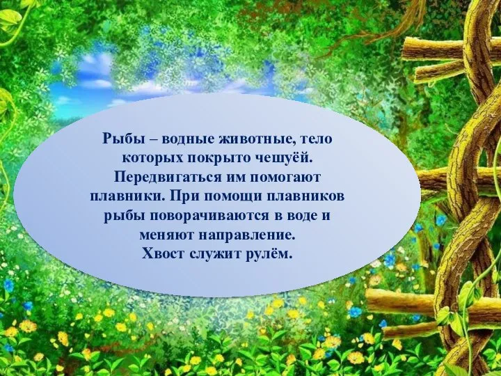 Рыбы – водные животные, тело которых покрыто чешуёй. Передвигаться им помогают