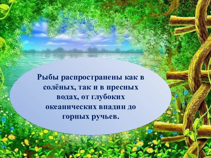 Рыбы распространены как в солёных, так и в пресных водах, от