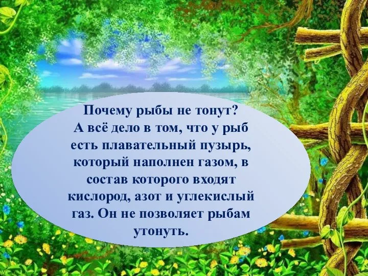 Почему рыбы не тонут? А всё дело в том, что у