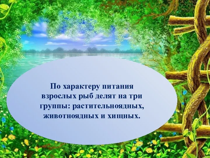 По характеру питания взрослых рыб делят на три группы: растительноядных, животноядных и хищных.