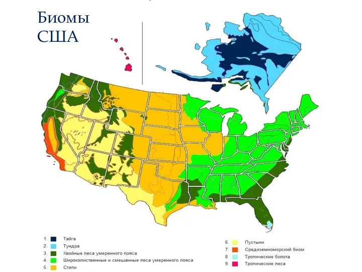 Биомы США