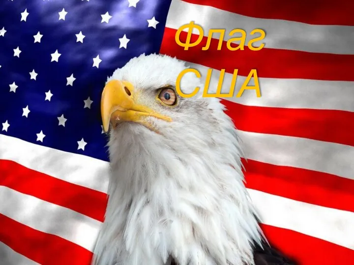 Флаг США