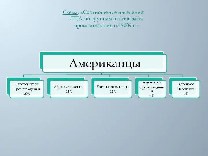 Схема: «Соотношение населения США по группам этнического происхождения на 2009 г.».