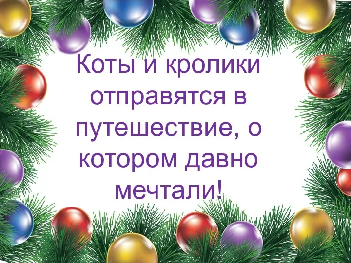 Коты и кролики отправятся в путешествие, о котором давно мечтали!