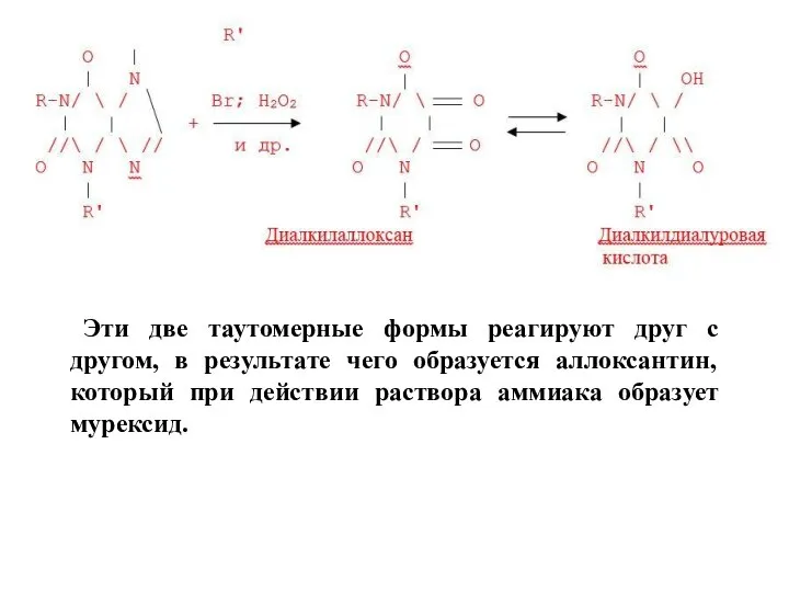 Эти две таутомерные формы реагируют друг с другом, в результате чего