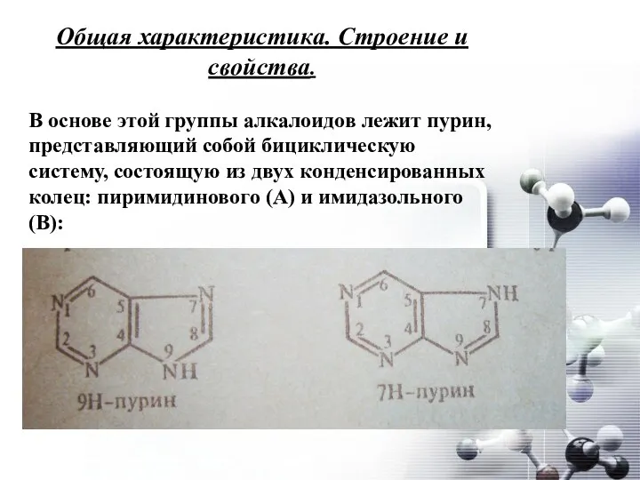 Общая характеристика. Строение и свойства. В основе этой группы алкалоидов лежит