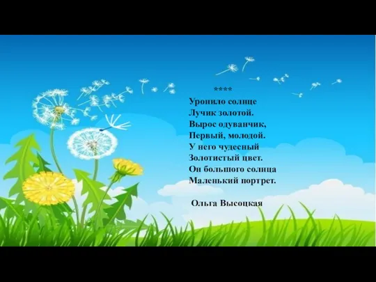 **** Уронило солнце Лучик золотой. Вырос одуванчик, Первый, молодой. У него