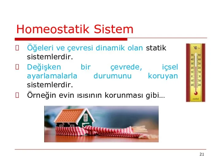 Homeostatik Sistem Öğeleri ve çevresi dinamik olan statik sistemlerdir. Değişken bir