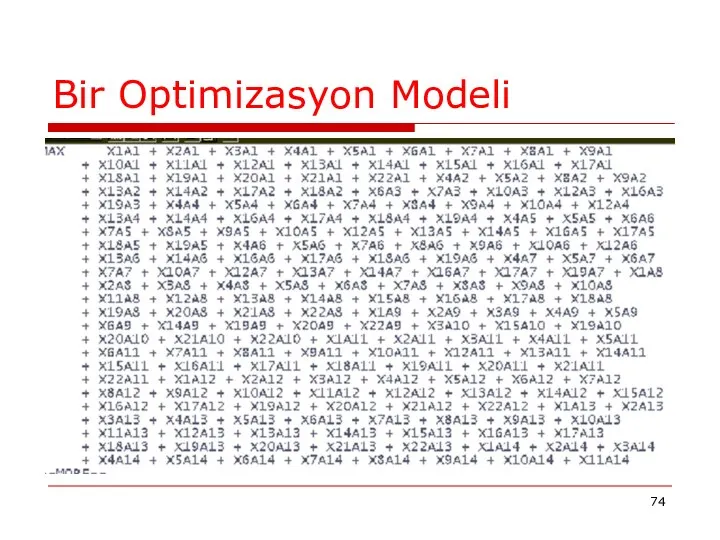 Bir Optimizasyon Modeli
