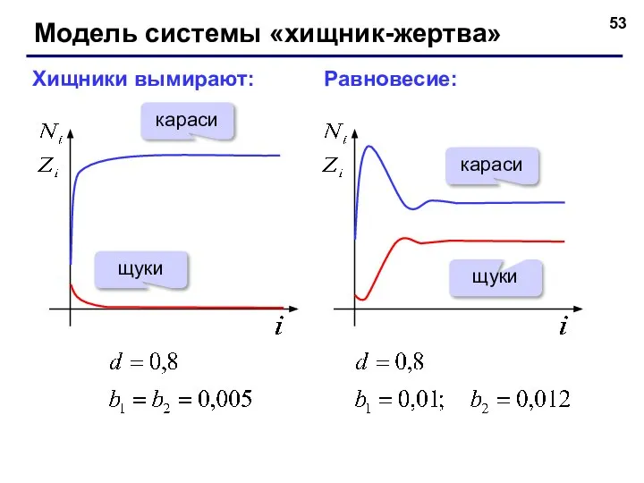 Модель системы «хищник-жертва» Хищники вымирают: Равновесие: караси щуки караси щуки