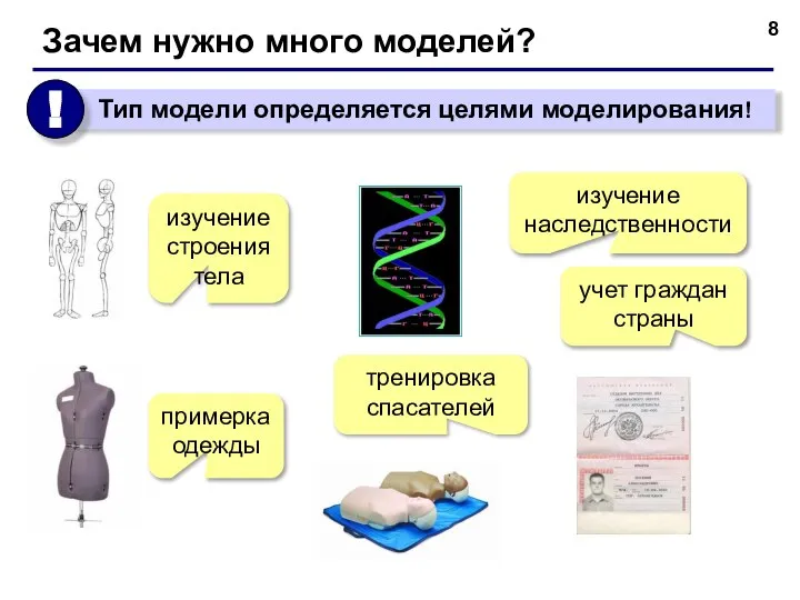 Зачем нужно много моделей? изучение строения тела примерка одежды изучение наследственности тренировка спасателей учет граждан страны