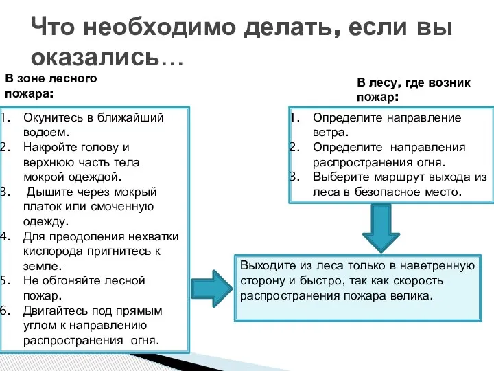 Что необходимо делать, если вы оказались… В зоне лесного пожара: В