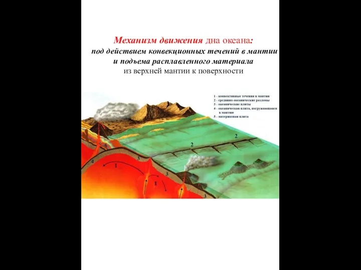 Механизм движения дна океана: под действием конвекционных течений в мантии и