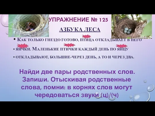 УПРАЖНЕНИЕ № 125 АЗБУКА ЛЕСА КАК ТОЛЬКО ГНЕЗДО ГОТОВО, ПТИЦА ОТКЛАДЫВАЕТ