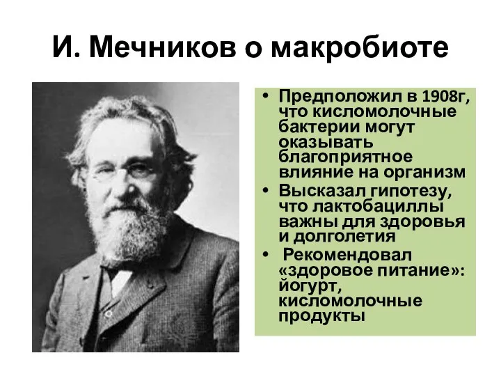 И. Мечников о макробиоте Предположил в 1908г, что кисломолочные бактерии могут