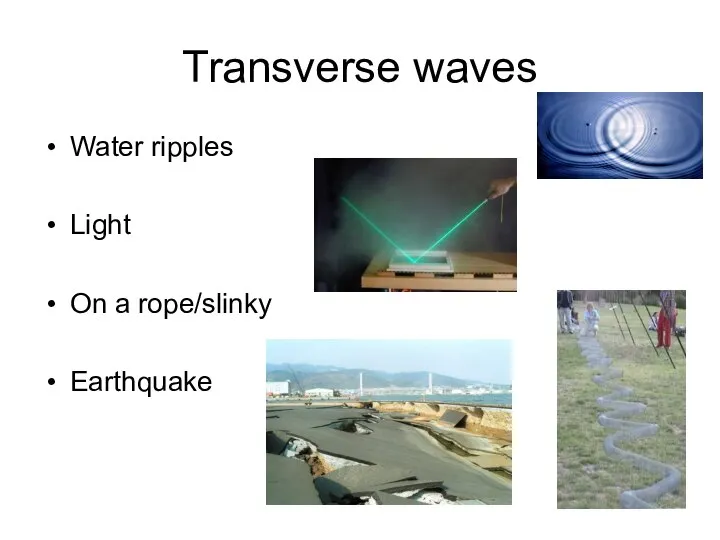 Transverse waves Water ripples Light On a rope/slinky Earthquake