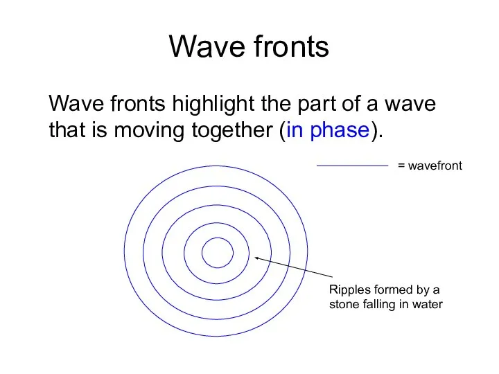 Wave fronts Wave fronts highlight the part of a wave that