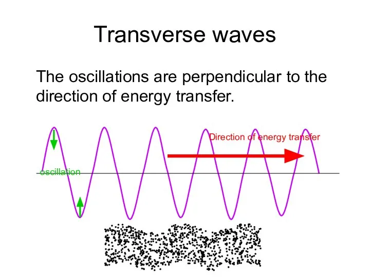 Transverse waves The oscillations are perpendicular to the direction of energy