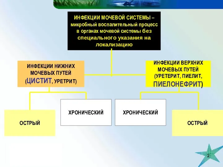 ИНФЕКЦИИ ВЕРХНИХ МОЧЕВЫХ ПУТЕЙ (УРЕТЕРИТ, ПИЕЛИТ, ПИЕЛОНЕФРИТ) ИНФЕКЦИИ МОЧЕВОЙ СИСТЕМЫ –