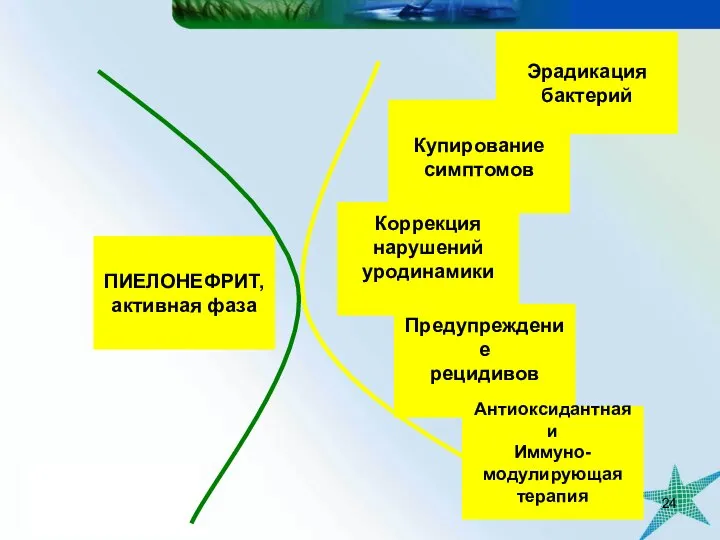 Купирование симптомов Эрадикация бактерий Предупреждение рецидивов ПИЕЛОНЕФРИТ, активная фаза Коррекция нарушений