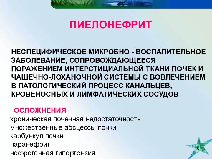 ПИЕЛОНЕФРИТ НЕСПЕЦИФИЧЕСКОЕ МИКРОБНО - ВОСПАЛИТЕЛЬНОЕ ЗАБОЛЕВАНИЕ, СОПРОВОЖДАЮЩЕЕСЯ ПОРАЖЕНИЕМ ИНТЕРСТИЦИАЛЬНОЙ ТКАНИ ПОЧЕК