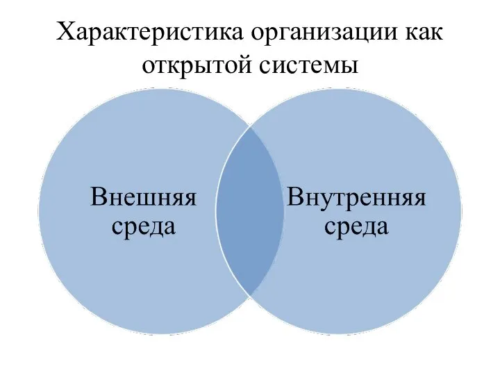 Характеристика организации как открытой системы