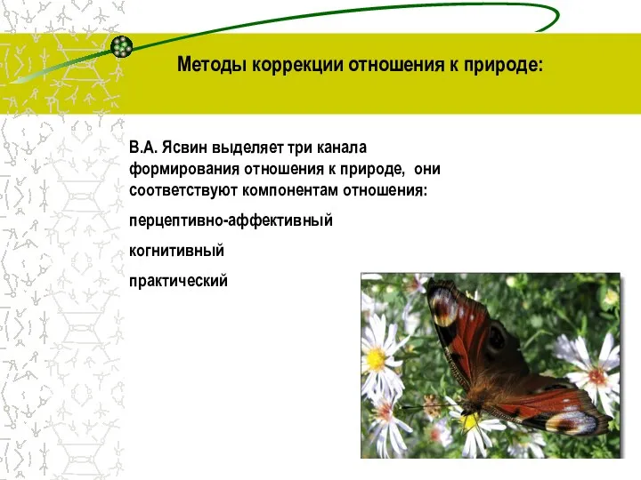 В.А. Ясвин выделяет три канала формирования отношения к природе, они соответствуют