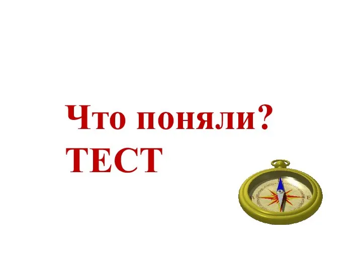 Что поняли? ТЕСТ