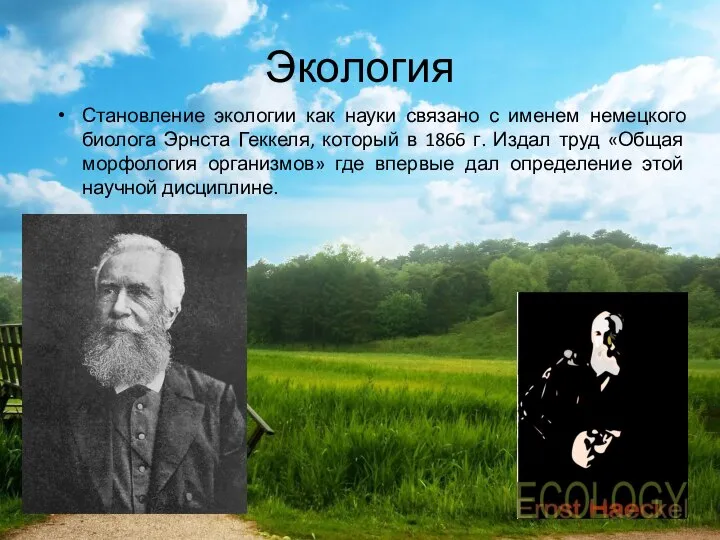 Экология Становление экологии как науки связано с именем немецкого биолога Эрнста