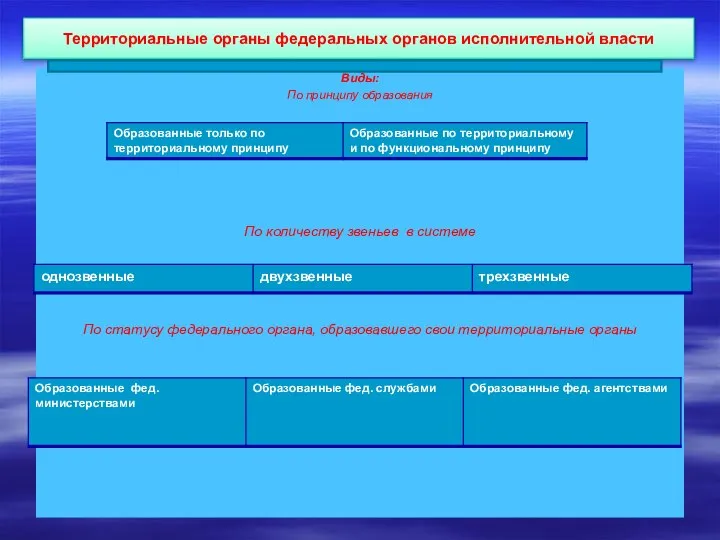 Территориальные органы федеральных органов исполнительной власти Виды: По принципу образования По