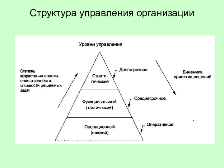 Структура управления организации