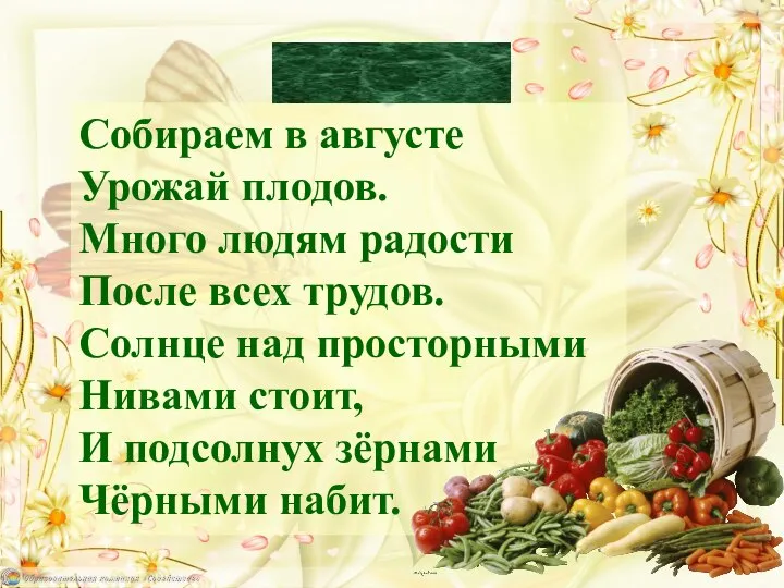 Собираем в августе Урожай плодов. Много людям радости После всех трудов.