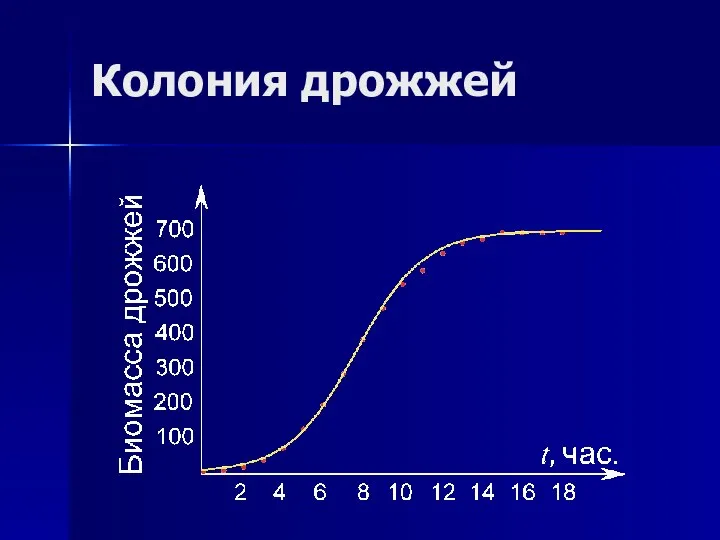 Колония дрожжей