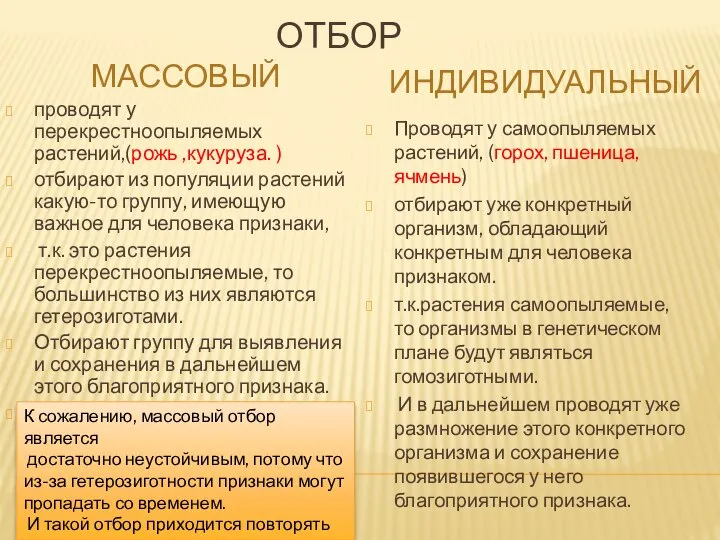 ОТБОР МАССОВЫЙ ИНДИВИДУАЛЬНЫЙ проводят у перекрестноопыляемых растений,(рожь ,кукуруза. ) отбирают из