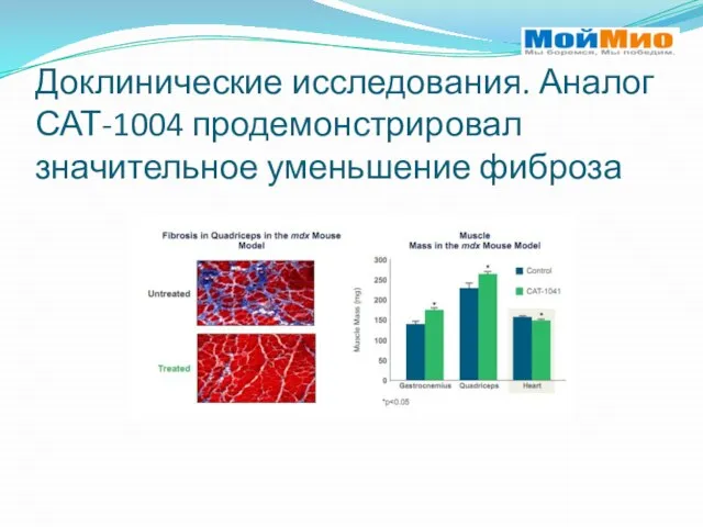 Доклинические исследования. Аналог САТ-1004 продемонстрировал значительное уменьшение фиброза