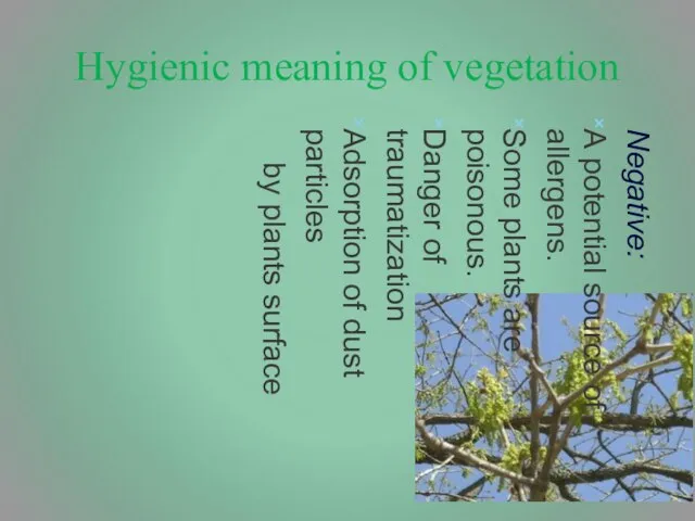 Hygienic meaning of vegetation Negative: А potential source of allergens. Some