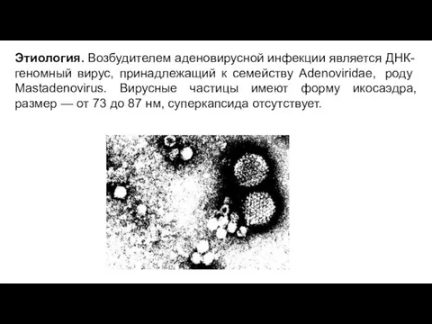 Этиология. Возбудителем аденовирусной инфекции является ДНК-геномный вирус, принадлежащий к семейству Adenoviridae,