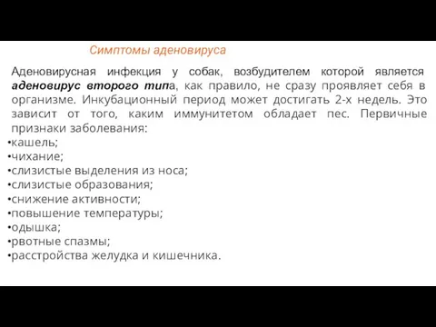 Аденовирусная инфекция у собак, возбудителем которой является аденовирус второго типа, как